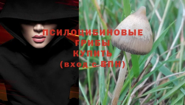 ALPHA PVP Алексеевка
