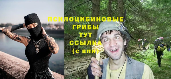 ПСИЛОЦИБИНОВЫЕ ГРИБЫ Алексин