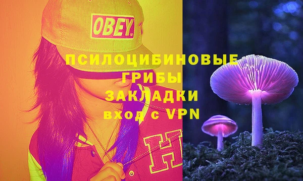 ALPHA PVP Алексеевка