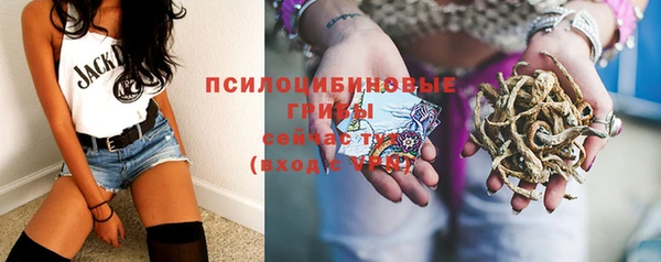 ПСИЛОЦИБИНОВЫЕ ГРИБЫ Алексин