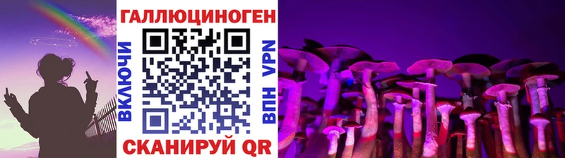 Псилоцибиновые грибы Psilocybe гидра ссылка Шелехов